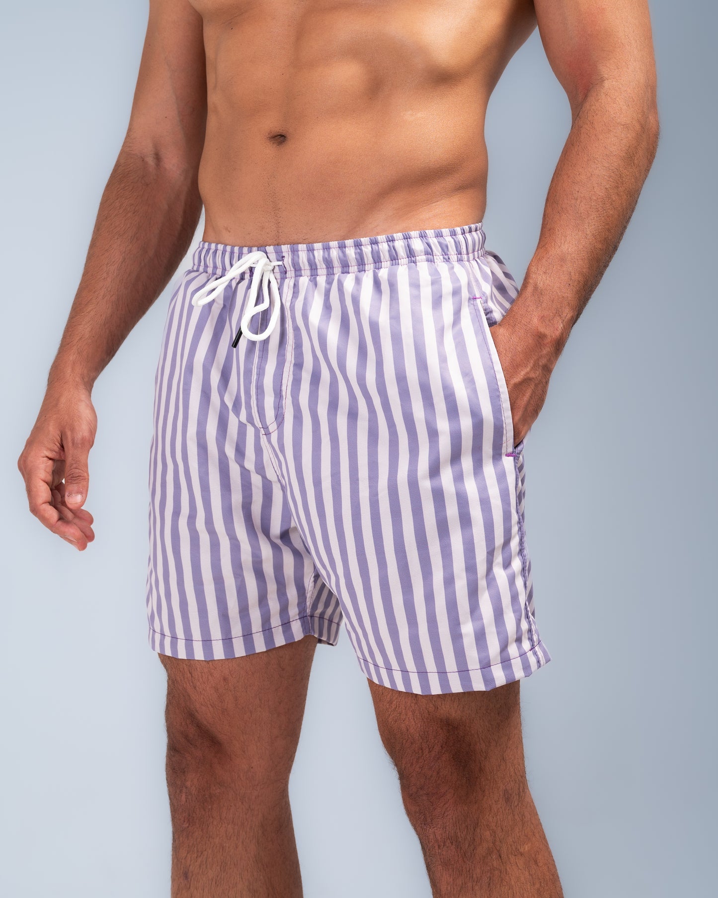 The Riviera Stripe Swim Shorts